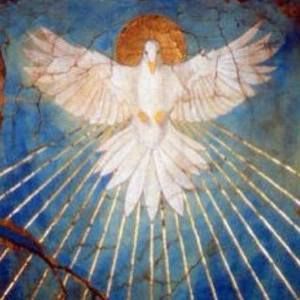 Meet your Posher, Franklin